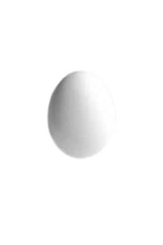 Oval Shape Medium Sized Broiler Chicken Origin Fresh White Egg