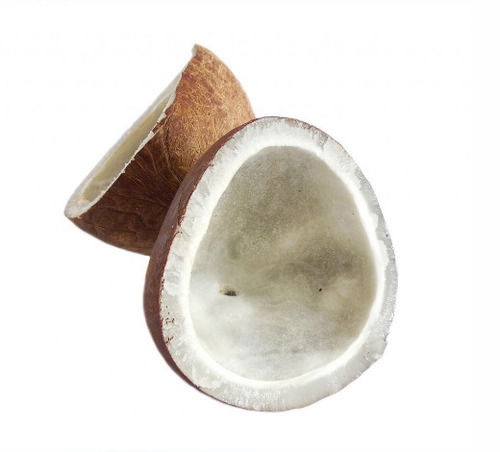 Brown Indian Origin Round Organic Whole Dry Coconut