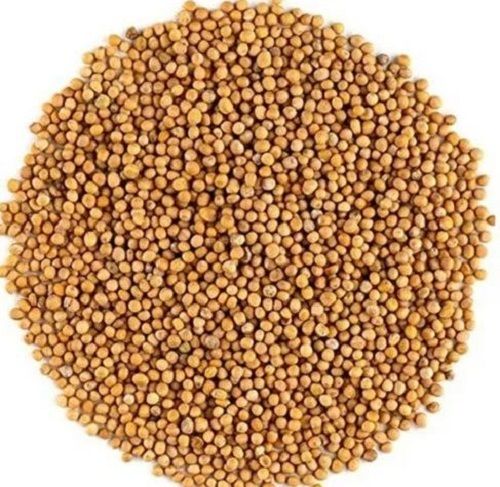 Organic Edible Sun Dry Yellow Mustard Seed