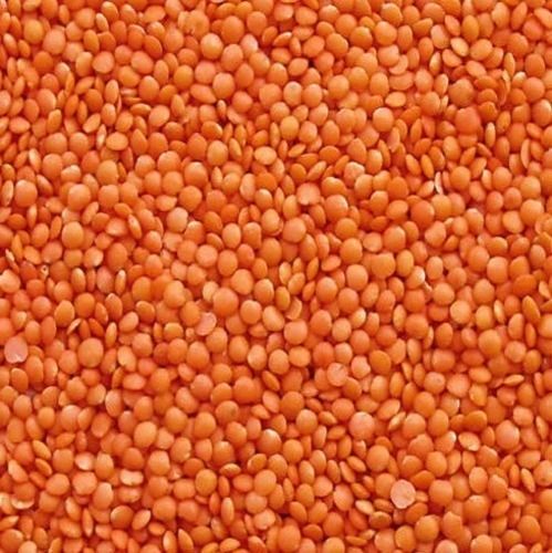 Commonly Cultivated Pure And Dried Spited Semi Round Masoor Dal