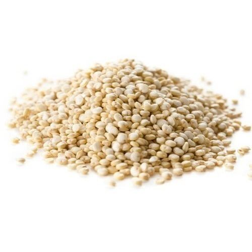 99 % Pure Common Cultivated Dried Solid Quinoa Seeds With 10 % Moisture