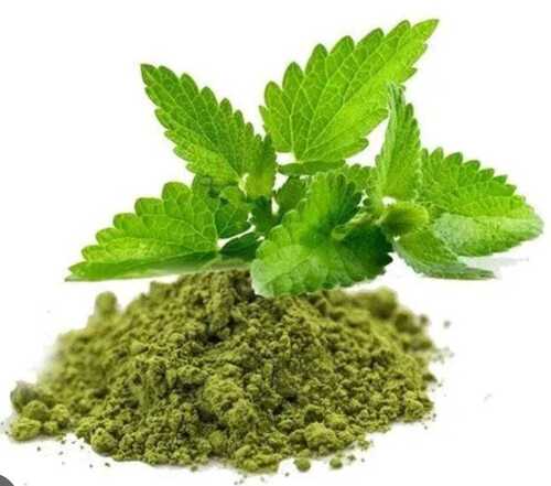 Dried Blended Green Tulsi Leaves Powder For Medicine Use