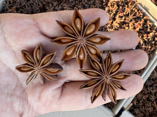 Natural Aromatic Brown Raw Dried Whole Star Anise For Cooking