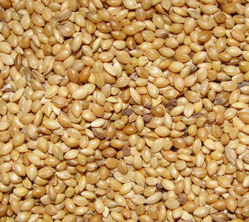 Natural Yellow Rala Millet For Food Processing, No Preservatives And Excellent Taste