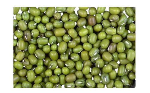 9.5 % Moisture Fresh Organic Green Moong Dal