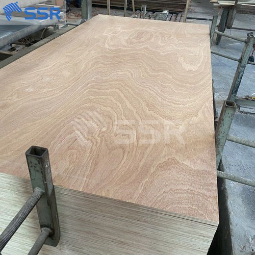 Export Quality Eco-Friendly Veneer Finish Birch Commercial Plywood