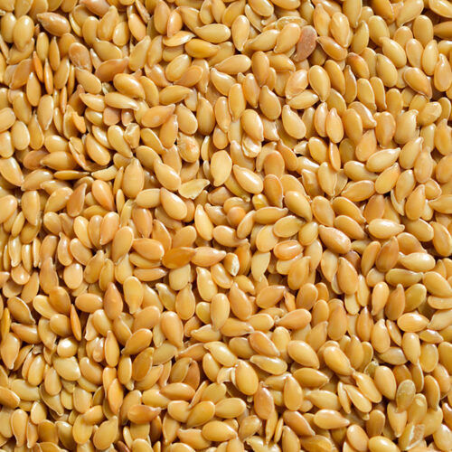 100% Natural Golden Brown Odorless Flax Seeds 25 kg and 50 kg