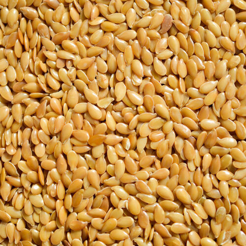 Red 100% Natural Golden Brown Odorless Flax Seeds 25 Kg And 50 Kg