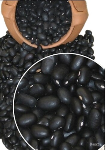99.00% Pure No GMO Grade 1 Black Beans with 15.00% Maximum Moisture