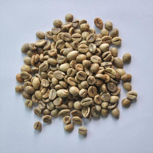 White Robusta S16 Wet Polished Coffee Beans With Moisture 12.5 % Max