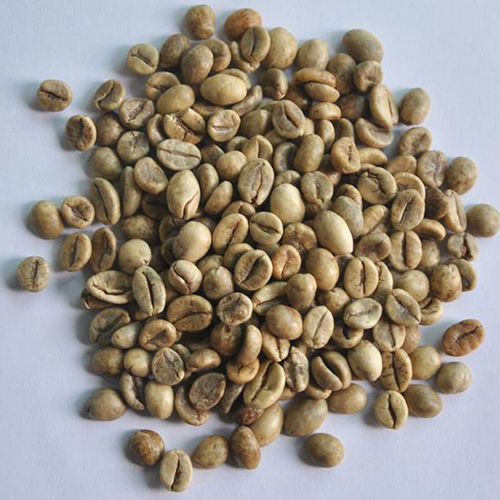 Robusta S18 Wet Polished Coffee Beans With Moisture 12.5 % max