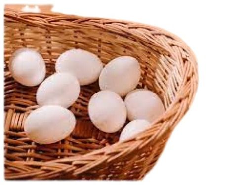  40 ग्राम प्रोटीन और कैल्शियम से भरपूर सफेद अंडाकार आकार के ताजे मुर्गी के अंडे 