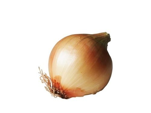 Flavorful And Round Fresh Raw Brown Onions