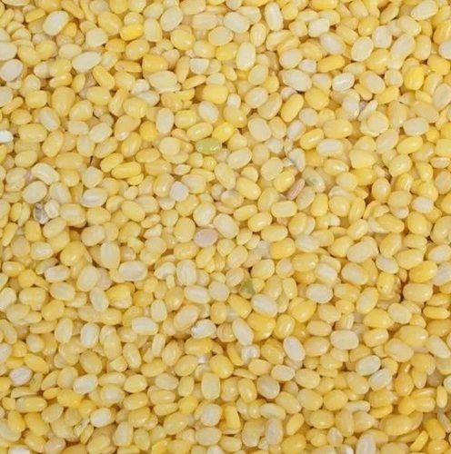 Healthy Pure Lentils Whole Dhuli Organic Moong Dal