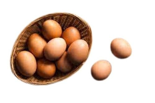  अत्यधिक प्रोटीन और कैल्शियम से भरपूर अंडाकार आकार के ताजे भूरे देशी अंडे 