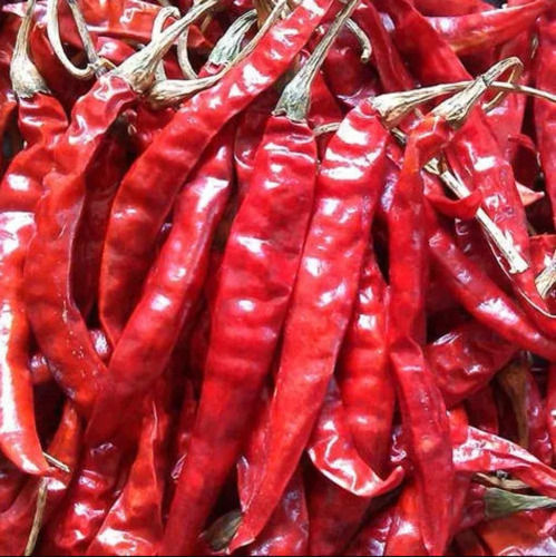 Naturally Dried Extra Spicy Whole Raw Red Chilli