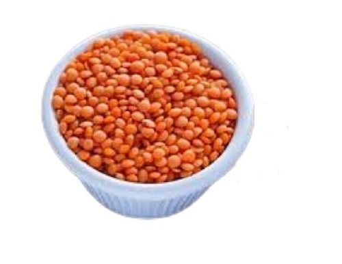 Dried Commonly Cultivated Healthy Fresh 100% Pure Indian Origin Masoor Dal