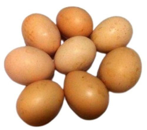 Fresh Oval Shape Healthy Kadaknath Egg
