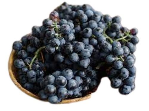 Healthy Round Shape Sweet Taste Black Grapes