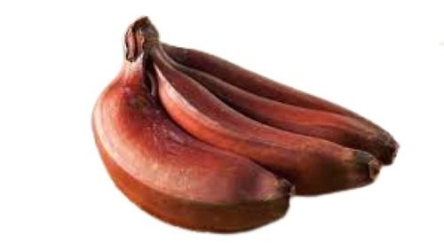 Common Indian Origin Long Shape Sweet Taste Red Banana