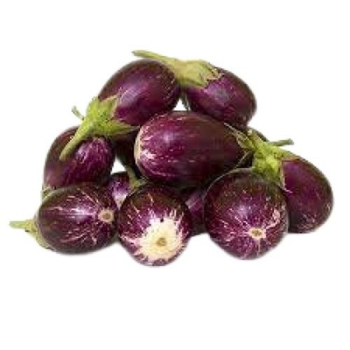 Raw Processed Oval Shape Naturally Grown Fresh And Healthy Brinjal