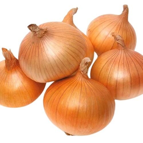 Farm Fresh Naturally Grown Round Shape Raw Onion