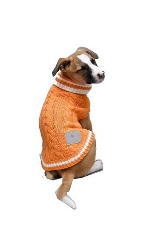 Light Weight And Comfortable Plain Daily Wear Woolen Dog Sweater