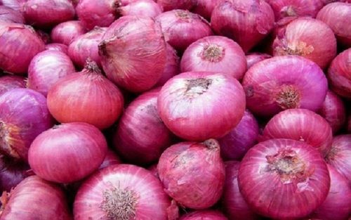 Naturally Grown Organic Round Shape Raw Farm Fresh Onion