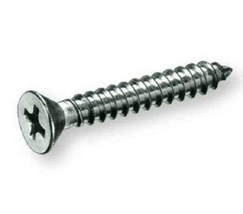 Premium Quality Mild Steel Polished Self Tapping Screw