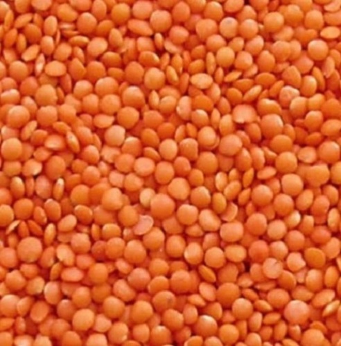 भारतीय मूल धूप में सुखाया हुआ प्राकृतिक स्वाद और रंग लाल मसूर दाल