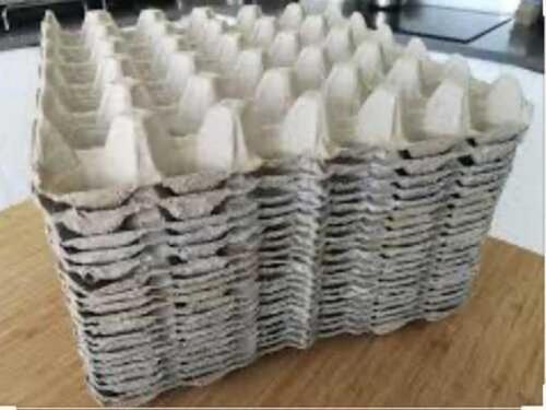 Lightweight Square Shape White Pulp Paper Disposable Egg Tray