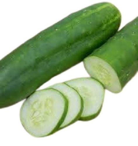 Naturally Grown Healthy Tasty Long Shape Raw Fresh Cucumbers