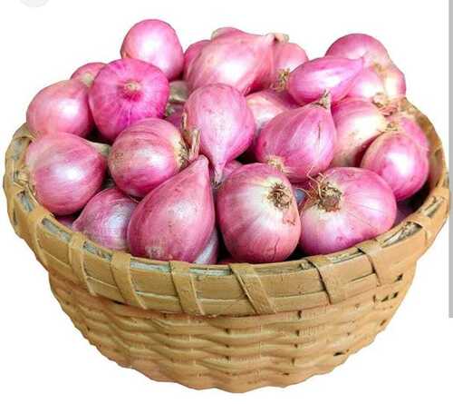 Round No Preservatives Organic Natural Fresh Onion For Cooking Use