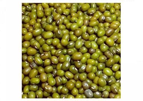 Premium Grade Dried and Cleaned Whole Green Moong Dal