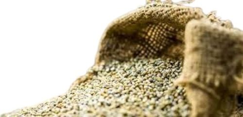 100% Pure Dried Hard Green Millets Admixture (%): 2-5