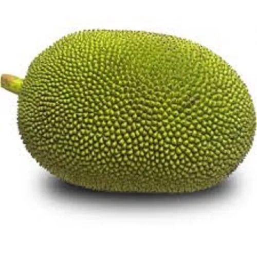 A Grade And Indian Origin Oval Raw Jack Fruit Moisture (%): 40%