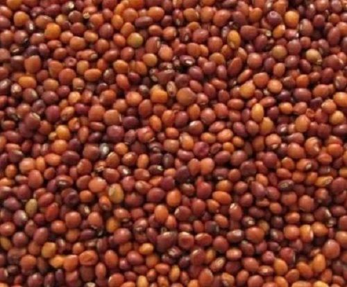 Commonly Cultivated 10.5% Moisture And 98% Purity Pigeon Peas Admixture (%): 14%