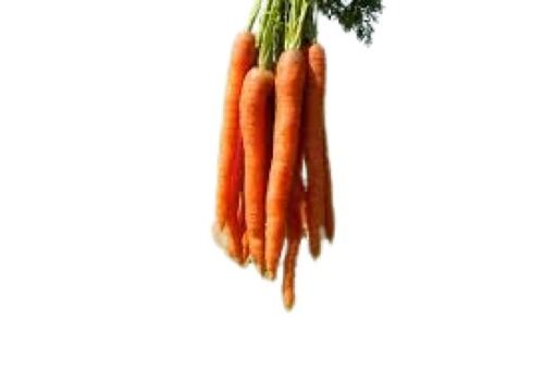 Healthy Tasty Naturally Grown Farm Fresh Long Shape Raw Carrot Moisture (%): 87%