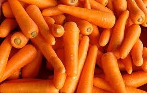 Long Shape Naturally Grown Healthy Farm Fresh Carrot Shelf Life: 3 Week