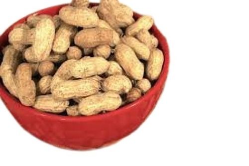 Rich In Taste Brown Healthy Dried Peanuts