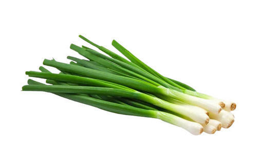 A Grade Commonly Cultivated Raw Seasoned Fresh Spring Onion