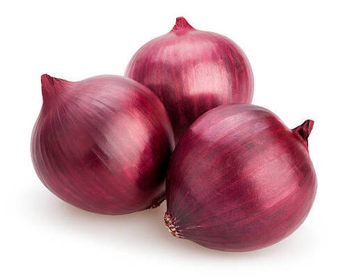 Round Export Quality Farm Fresh Raw Whole Red Onion For Cooking