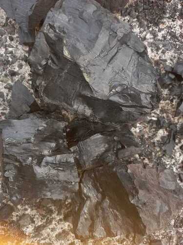 black coal