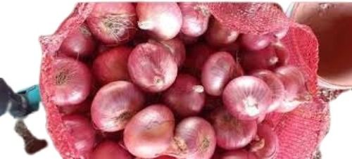 Farm Fresh Round Shape Raw Red Onion