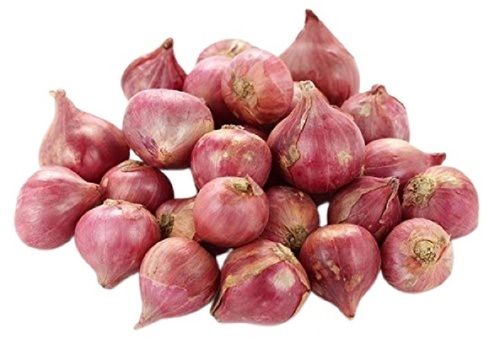Healthy Naturally Grown Farm Fresh Round Shape Raw Onions