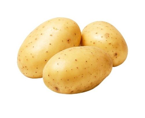 Indian Origin Naturally Grown Farm Fresh Potato For Cooking