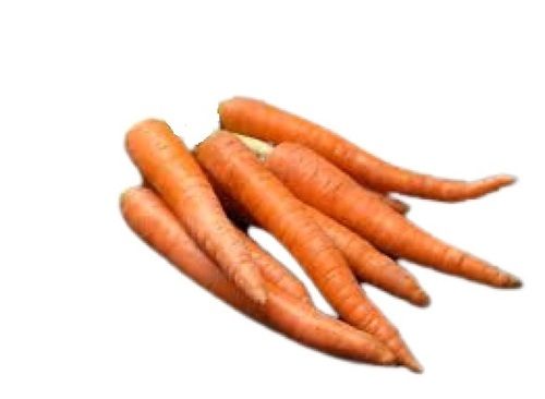 Naturally Grown Fresh Long Shape Raw Carrot Moisture (%): 86%