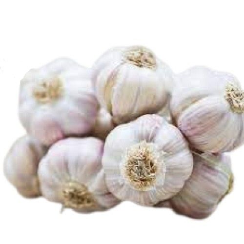Raw Farm Fresh Round Shape Garlic