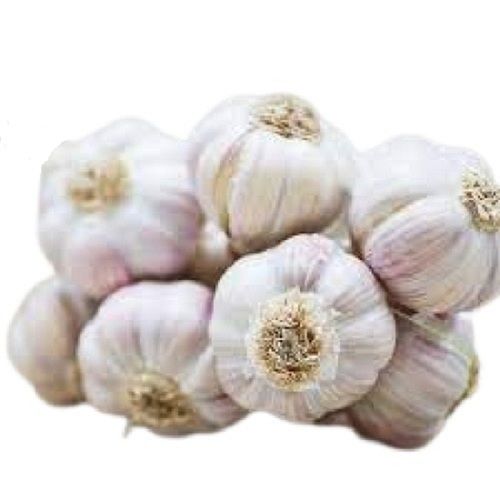 Raw Farm Fresh Round Shape Garlic Shelf Life: 1 Week