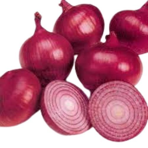 Round Shape Naturally Grown Fresh Raw Red Onion